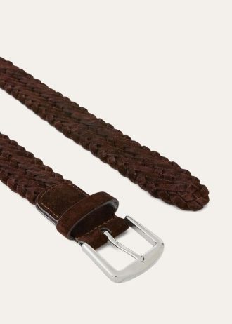 Cinturón de Alsavel