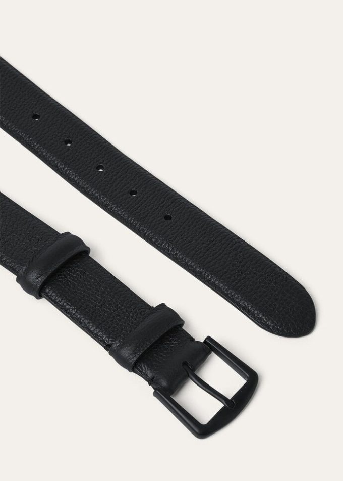Cinturón de Alsavel Cinturón de Alsavel
