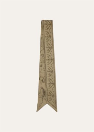 Corbata Le Origini delle Eccellenze